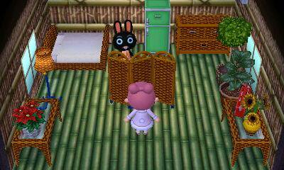 Animal Crossing: New Leaf Cole Interieur