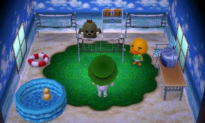Animal Crossing: New Leaf Pascual Interior