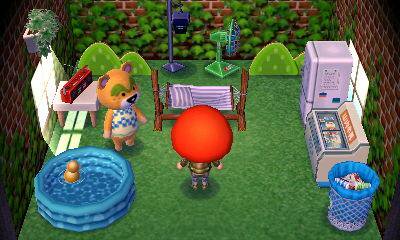 Animal Crossing: New Leaf Nathan Innere
