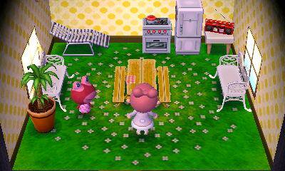 Animal Crossing: New Leaf Puddles Interieur