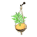 coconut wall planter
