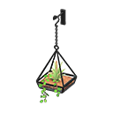 hanging terrarium