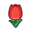 красный тюльпан