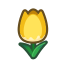 gele tulp