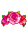 장미꽃 머리띠