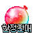 핑크하트 물풍선