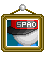 SPAO 깃발