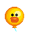 샐리 따라와