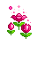 튤립팡팡