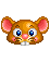 찍찍모자