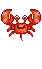 꽃게 따라와