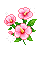 무궁화 따라와