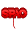 SPAO 따라와