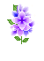 라일락 따라와