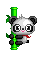 판다 따라와