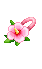 무궁화 머리띠