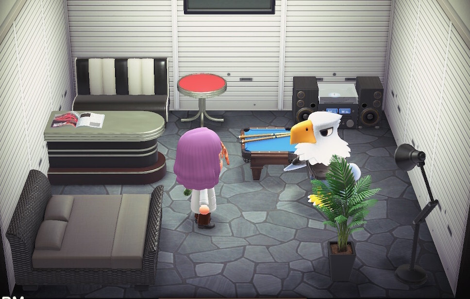 Animal Crossing: New Horizons Apollo Haus Innere