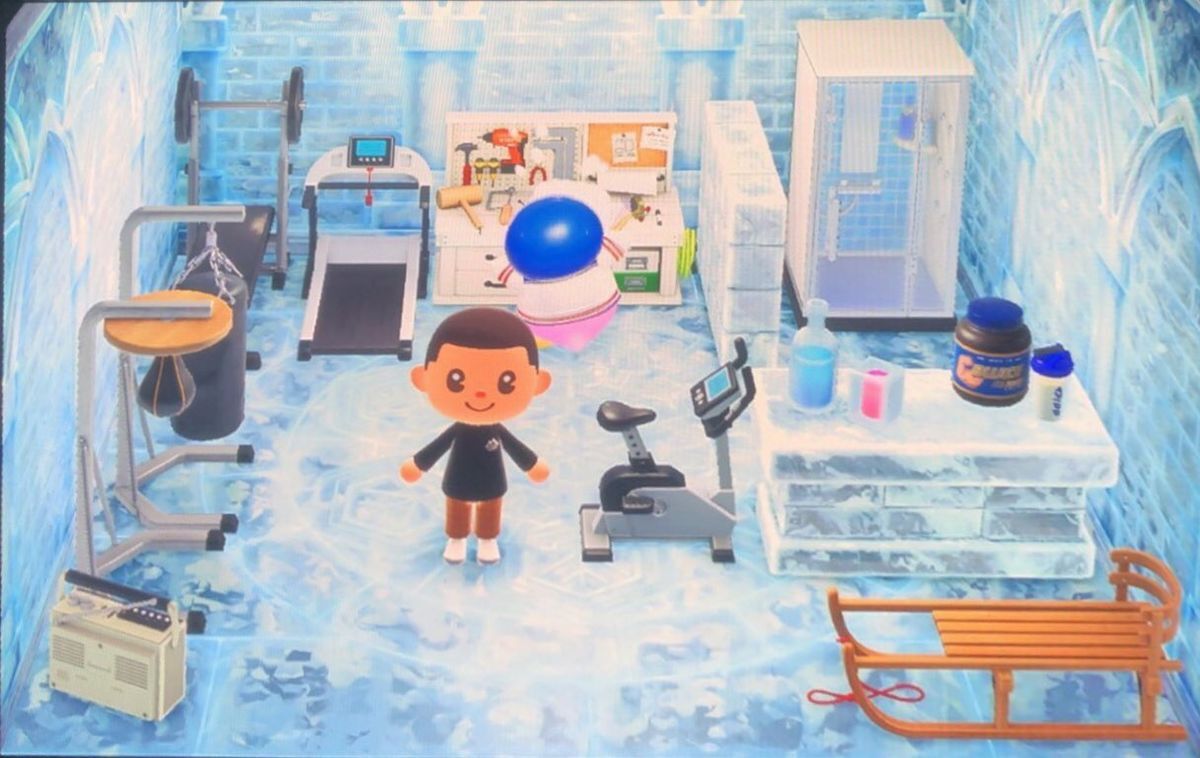 Animal Crossing: New Horizons Puck House Interior