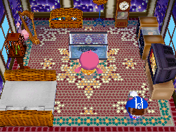 Animal Crossing: Wild World Fardilia Casa Interior