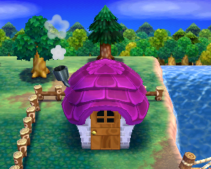 Animal Crossing: Happy Home Designer Лиз жилой дом внешний вид