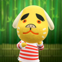 Animal Crossing: New Horizons Bernardo Photo