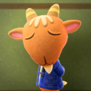 Animal Crossing: New Horizons Seguin Photo