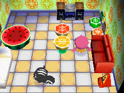 Animal Crossing: Wild World Blaire House Interior