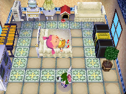 Animal Crossing: Wild World Brie Casa Interior