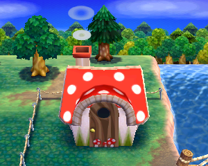 Animal Crossing: Happy Home Designer Дейрдре жилой дом внешний вид