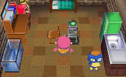 Animal Crossing: Wild World Дервин жилой дом Интерьер