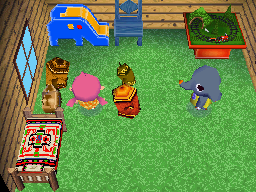 Animal Crossing: Wild World Pachy Maison Intérieur
