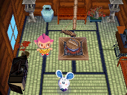 Animal Crossing: Wild World Dora House Interior