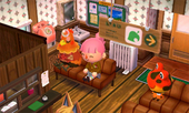 Animal Crossing: Happy Home Designer Дрифт жилой дом Интерьер