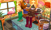 Animal Crossing: Happy Home Designer Элмер жилой дом Интерьер