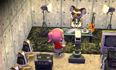 Animal Crossing: Happy Home Designer Юджин жилой дом Интерьер