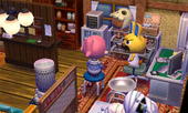 Animal Crossing: Happy Home Designer Gaston House Interior