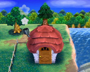 Animal Crossing: Happy Home Designer Гейл жилой дом внешний вид