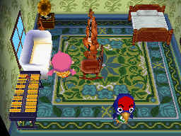 Animal Crossing: Wild World Jota Casa Interior