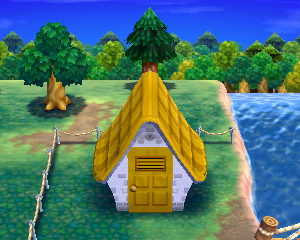 Animal Crossing: Happy Home Designer Джоуи жилой дом внешний вид