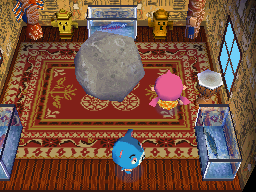 Animal Crossing: Wild World Kody House Interior