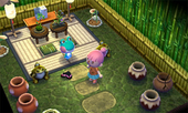 Animal Crossing: Happy Home Designer Lily House Interior