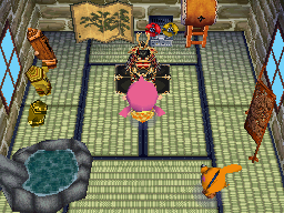 Animal Crossing: Wild World Camember Casa Interior