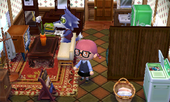 Animal Crossing: Happy Home Designer Lobo House Interior
