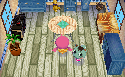 Animal Crossing: Wild World Mint House Interior
