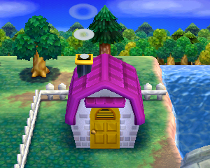 Animal Crossing: Happy Home Designer Моник жилой дом внешний вид