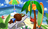 Animal Crossing: Happy Home Designer О'Хэар жилой дом Интерьер