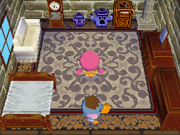 Animal Crossing: Wild World Pate House Interior