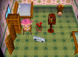 Animal Crossing: Wild World Vacarena Casa Interior
