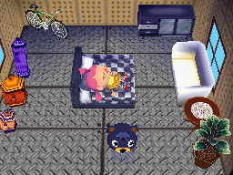 Animal Crossing: Wild World Poncho House Interior