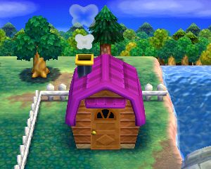Animal Crossing: Happy Home Designer Рене жилой дом внешний вид
